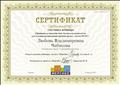 Сертификат участника вебинара "Принципы взаимодействия логопеда и воспитателя для создания развивающей игровой среды с учетом ФГОС" 23.08.2017 г.
